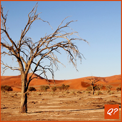Quizvraag Woestijnen, Afrika 8468