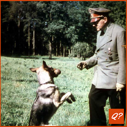 Quizvraag Honden Hitler 2303